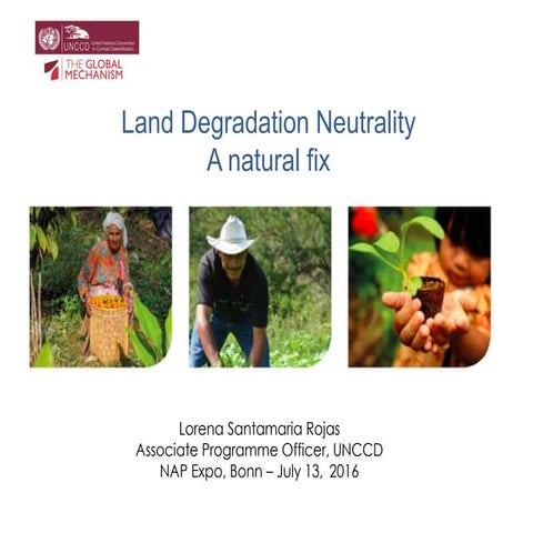 Land Degradation Neutrality and adaptation to climate change