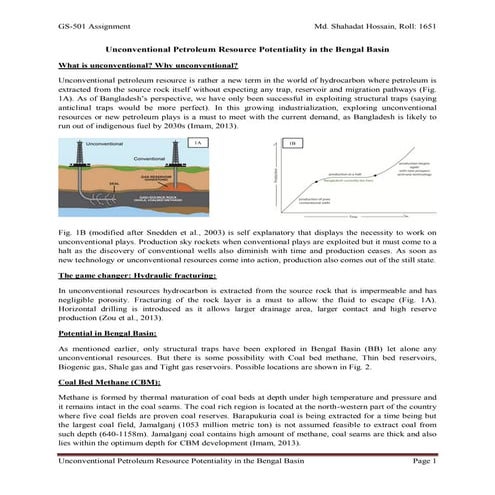 Unconventional petroleum resource potentiality in the bengal basin | PDF