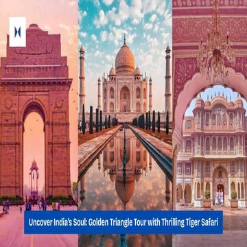 Uncover India’s Soul Golden Triangle Tour with Thrilling Tiger Safari