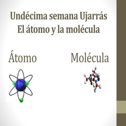 Undécima semana ujarrás