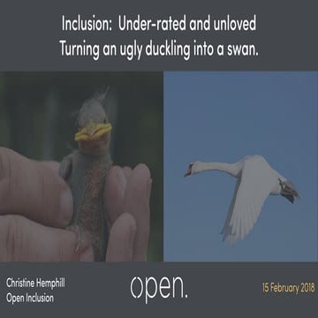 Inclusion: underrated and unloved. Turning an ugly duckling into a swan