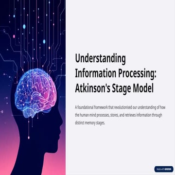 Understanding Atkinson's Stage Model of Information Processing and ...