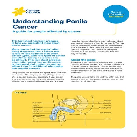 Understanding-Penile-Cancer.pdf