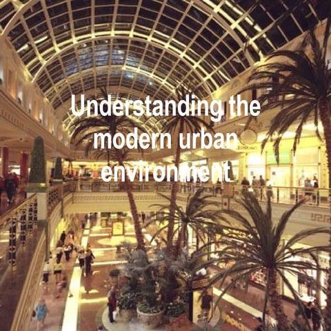 Understanding The Modern Urban Environment