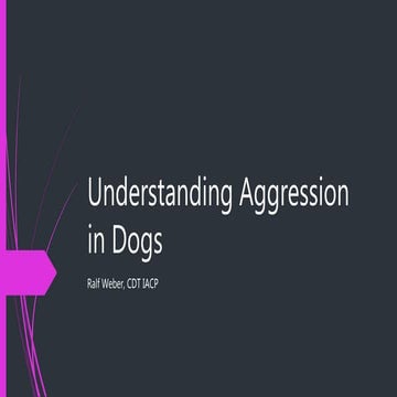 Understanding Aggression in Dogs | PPT