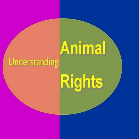 Understanding Animal Rights