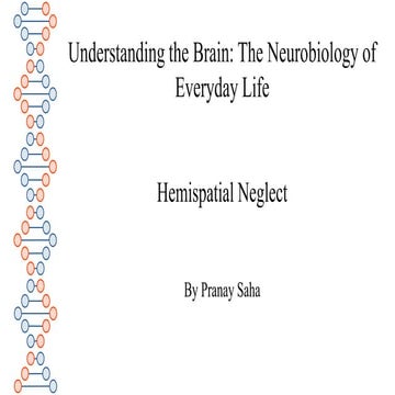 Understanding brain course_final_project_hemispatial
