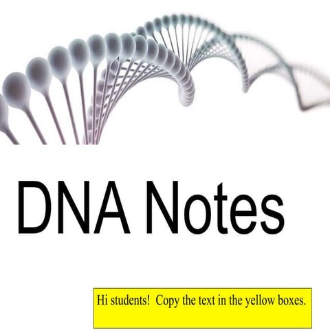DNA Notes