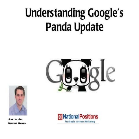 Understanding Google's Panda Update