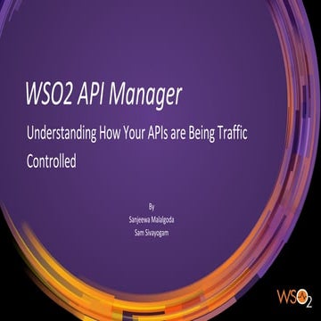 Webinar: Understanding How Your APIs are Being Traffic Controlled