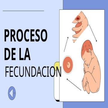 Understanding Human Reproduction Education Presentation in Blue Yellow ...