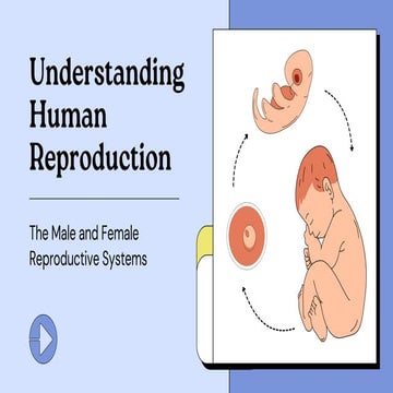 Understanding Human Reproduction Education Presentation in Blue Yellow White ...