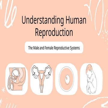 Natural Sciences Grade 9 Human reproduction | PPTX