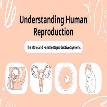 Understanding Human Reproduction Education Presentation in Peach Violet Hand ...