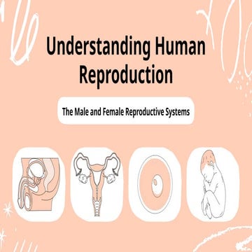 Understanding Human Reproduction Presentation