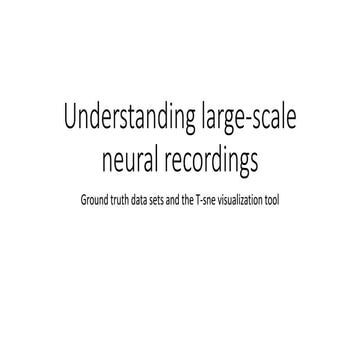Understanding large scale neural recordings ground truth data sets and the t-sne visualizations tool