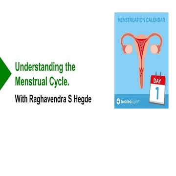 Understanding Menstrual Cycle