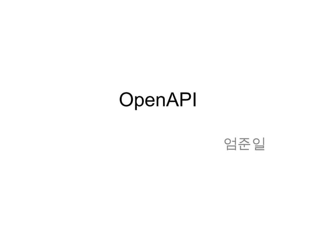 Understanding Open Api Service