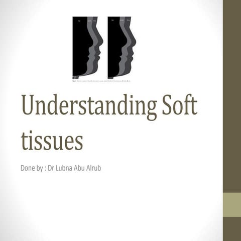 Understanding soft tissues Biology Diagrams