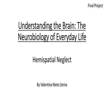 Post stroke hemispatial neglect syndrome | PPTX