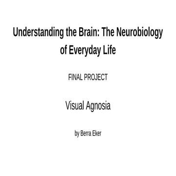 Understanding the Brain: Final Project  -  Visual Agnosia