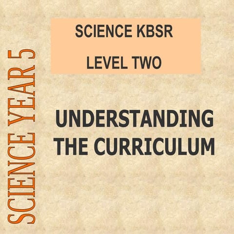 Understanding the curriculum thp2yr5