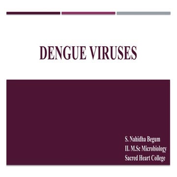 Understanding the Dengue Virus : Symptoms, Transmission, and Prevention.
