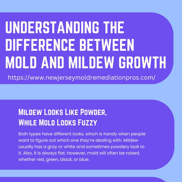Understanding the difference between mold and mildew growth.pdf