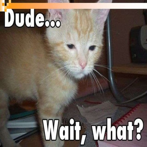 Understanding the Time Value of Money; Single Payment