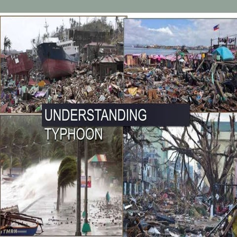 Understanding Typhoon g8