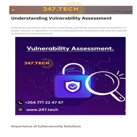 Understanding Vulnerability Assessment.pdf
