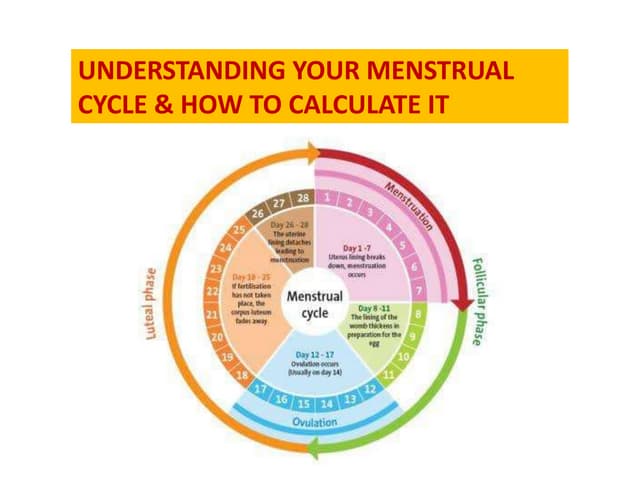 Your Menstrual Cycle How To Calculate It By Nnokwe Thumbnail 