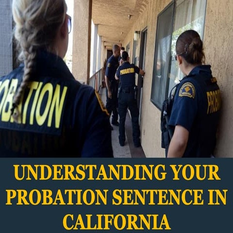 Federal Sentencing Guidelines: Understanding the Basics | PDF