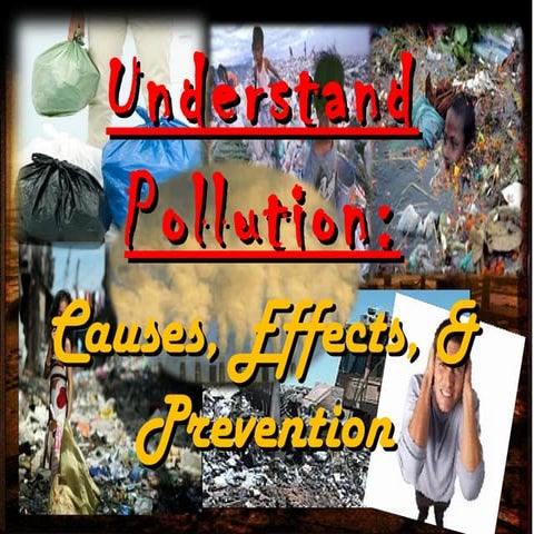 Understand pollution