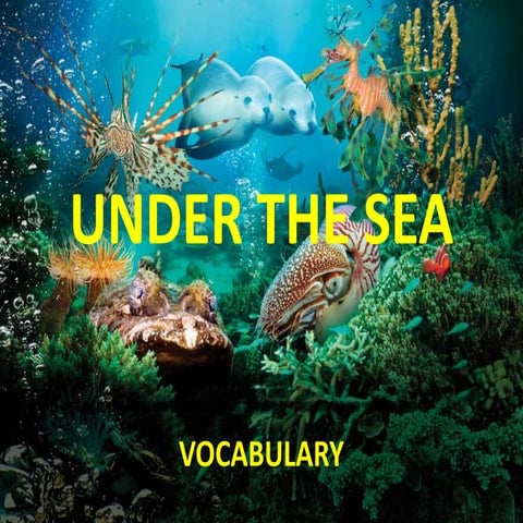 Under the sea