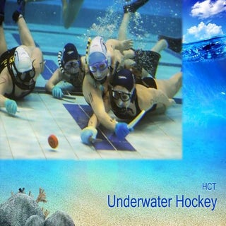 Underwater hockey