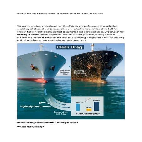 Singapore MPA Underwater Cleaning: 7 Critical Rules Explained | PDF