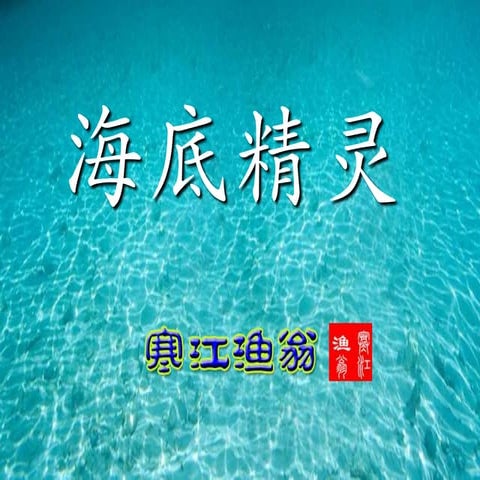 海底精靈 Under water_wonders