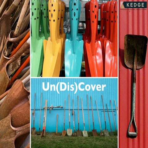 UN(DIS)COVER:  FROM INTEGRATION TO ASPIRATION