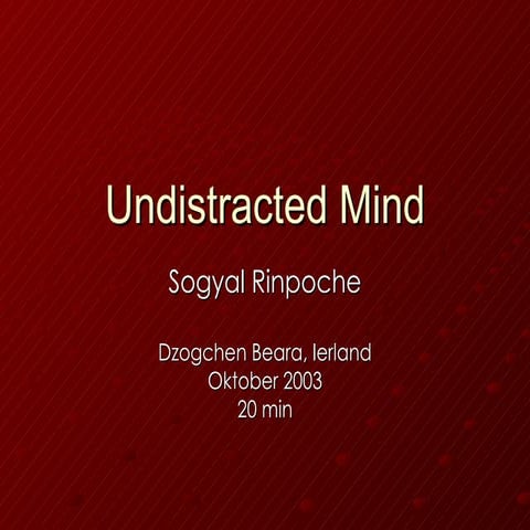 Undistracted mind, teaching Sogyal Rinpoche