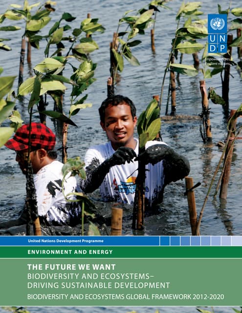 (2012) UNDP The Future We Want: Biodiversity and Ecosystems— Driving Sustainable Development