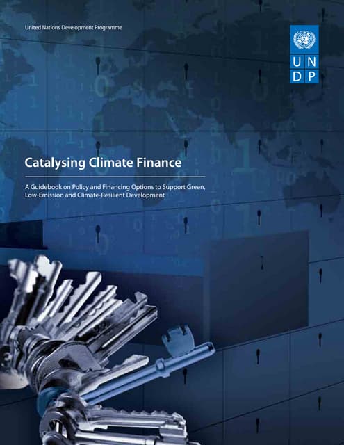 UNDP-Catalysing Climate Finance