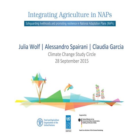 Integrating agriculture in National Adaptation Plans 