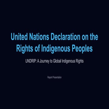 United nations Declaration on the Rights of IP | PPTX