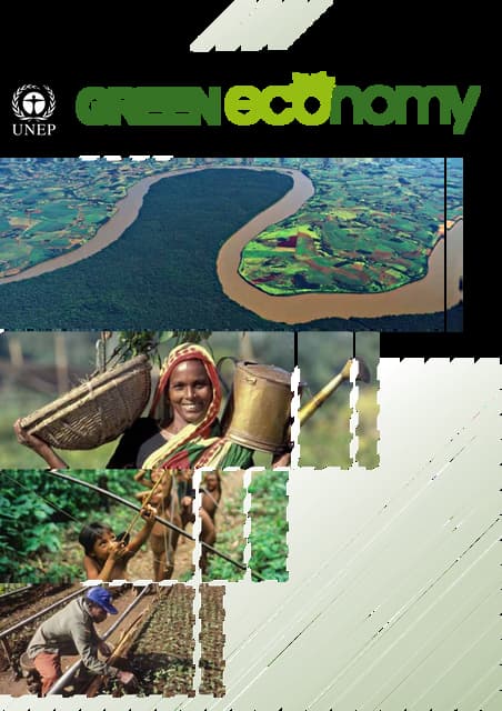 UNEP Forests Green Economy Report