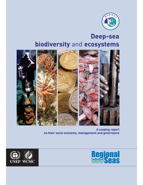 Unep deep sea biodiversity