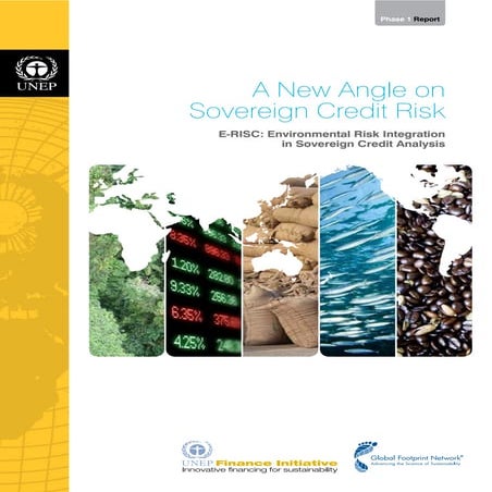 UNEP: A New Angle on Sovereign Credit Risk | PDF