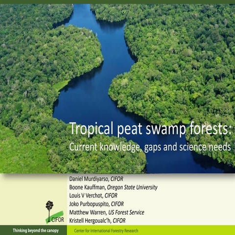 Tropical peat swamp forests: Current knowledge, gaps and science needs