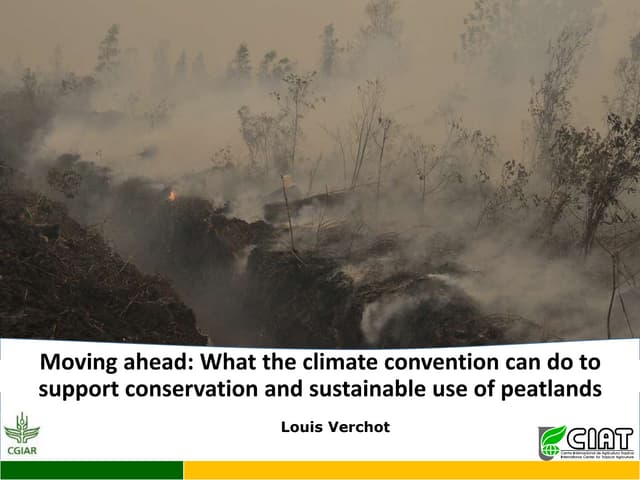 Moving ahead: What the climate convention can do to support conservation and sustainable use of peatlands 
