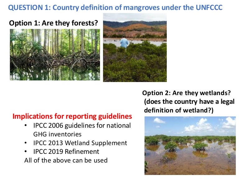 thumbnail of  UNFCCC questions